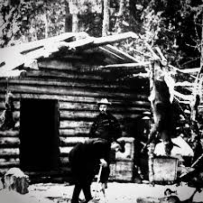 NORTHERN Cabin Fever