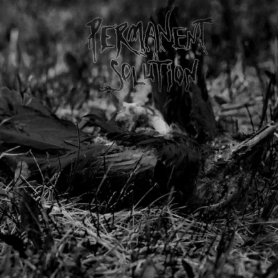 PERMANENT SOLUTION Permanent Solution