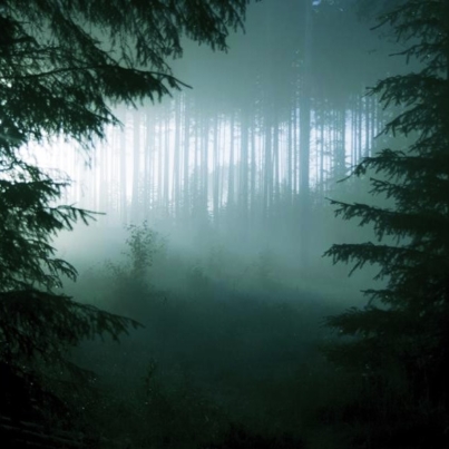 THY SERPENT Forest of Witchery CD
