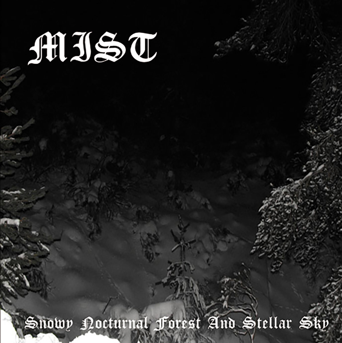 MIST "Snowy Nocturnal Forest And Stellar Sky"