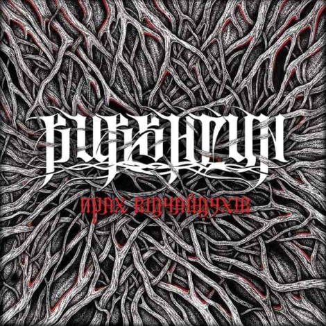 BURSHTYN Прах Відчайдухів CD